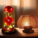 DHALADA UBAXA NAL LEH - Image 2